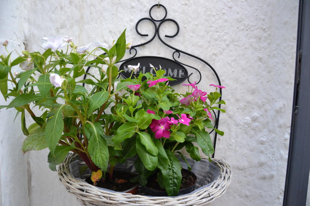La Violetta Ostuni Daire Oda fotoğraf
